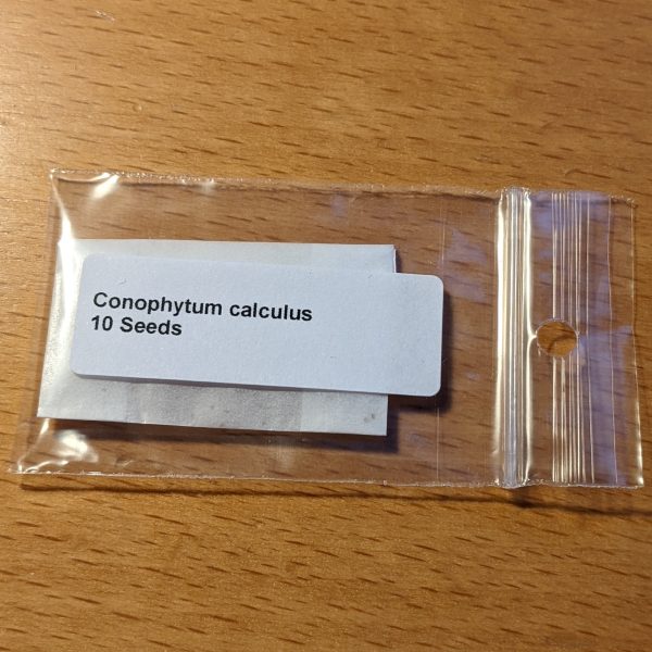 conophytum calculus zaden