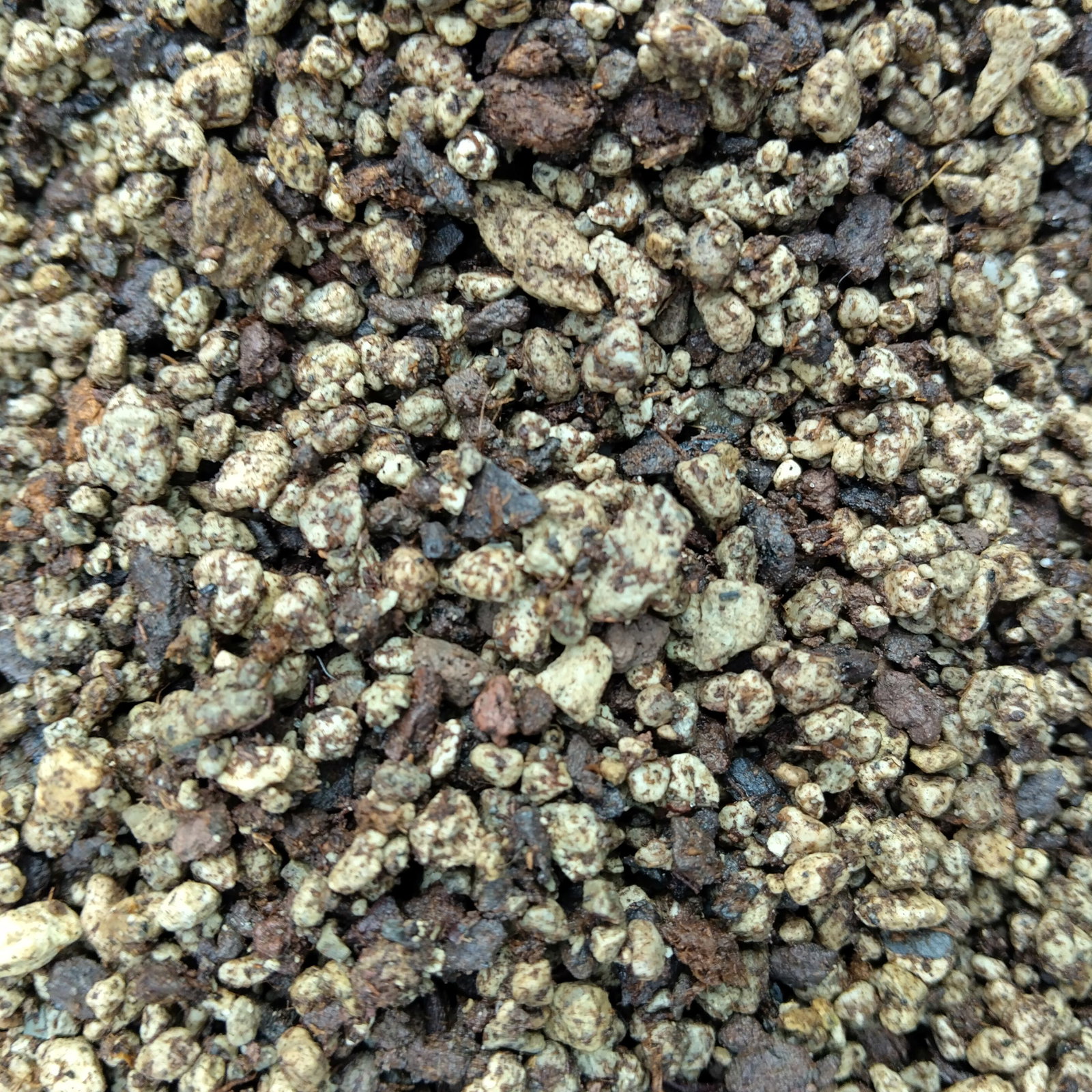 conophytum soil