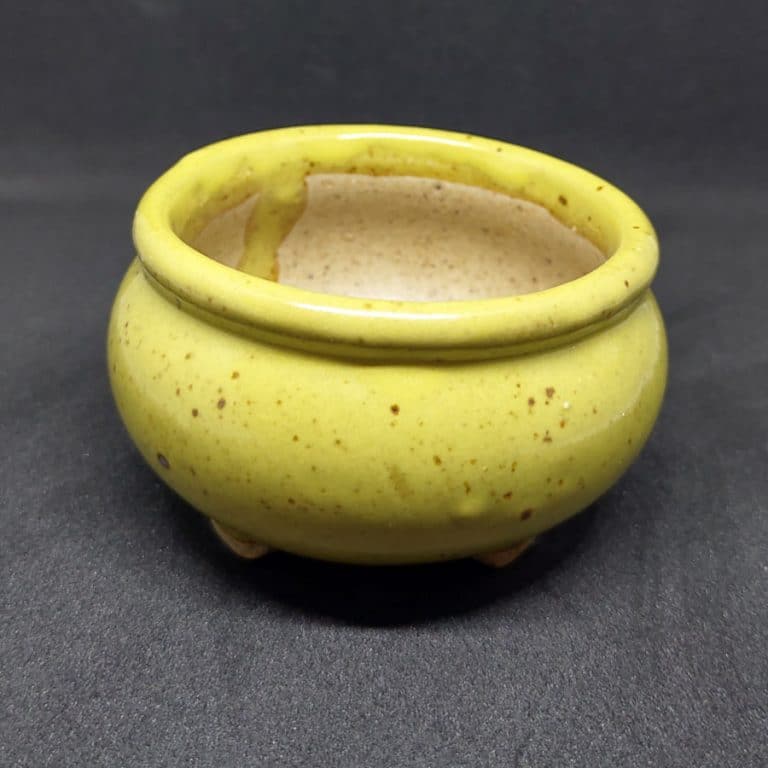 Handmade Mini Clay Pots for Succulents - Sunnyplants.com